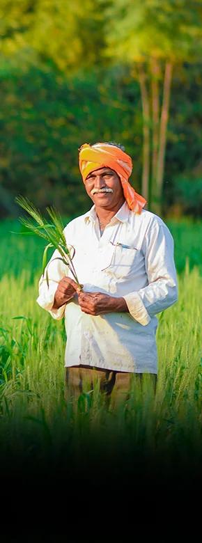 cohort in bihar